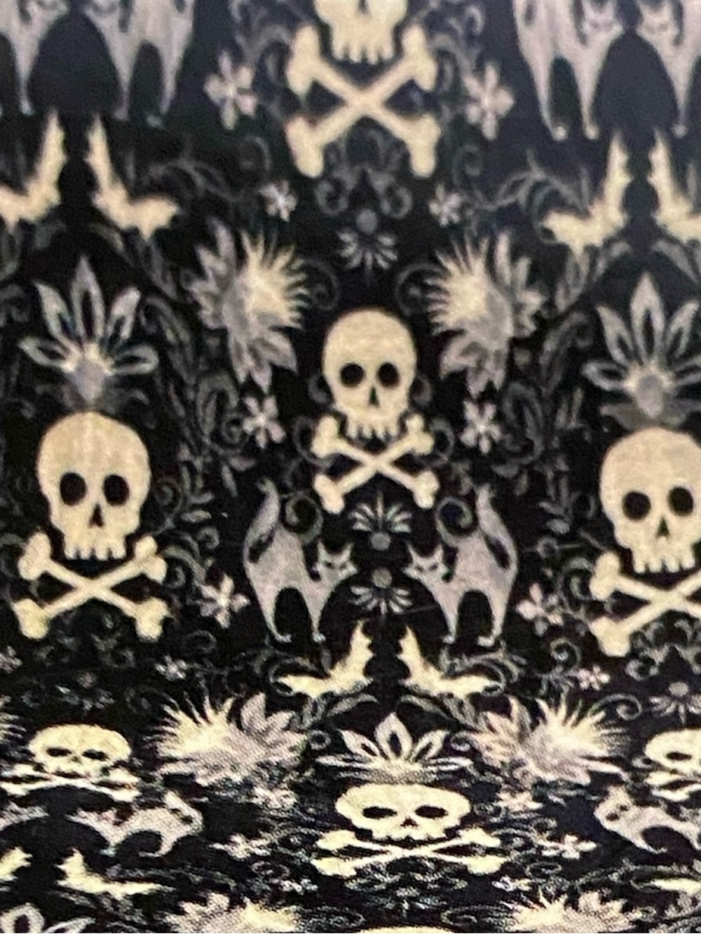 NWT Skull & Crossbones Plush Throw